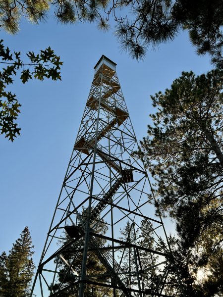 Paul M. Theide Fire Tower