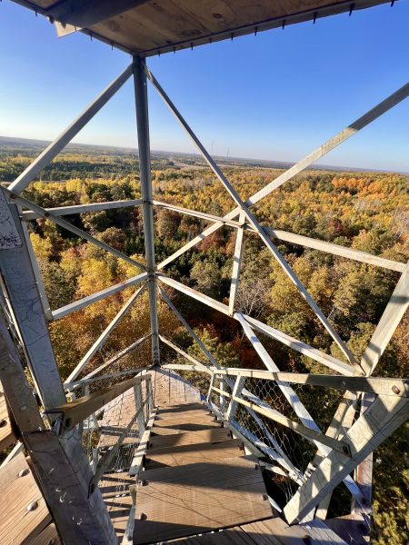 Paul M. Theide Fire Tower